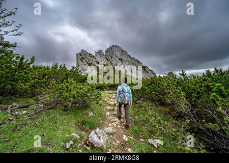 Alpinista su un sentiero escursionistico nella zona del Rotwand, cime rocciose del Ruchenkoepfe sullo sfondo, montagne della Mangfall, Baviera, Germania Foto Stock