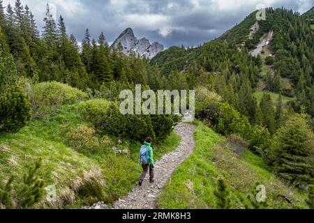 Alpinista su un sentiero escursionistico nella zona del Rotwand, cime rocciose del Ruchenkoepfe sullo sfondo, montagne della Mangfall, Baviera, Germania Foto Stock