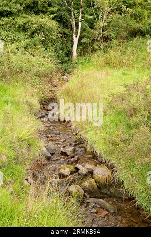 Glyn Collwn Pontsticill Reservoir Brecon Beacons, Galles Foto Stock