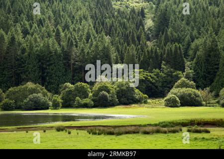 Glyn Collwn Pontsticill Reservoir Brecon Beacons Bannau Brycheiniog Wales Foto Stock