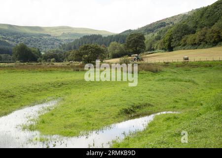 Glyn Collwn Pontsticill Reservoir Brecon Beacons, Galles Foto Stock