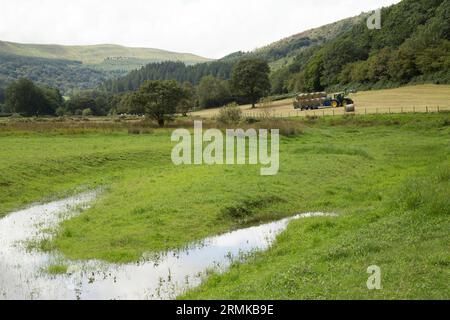 Glyn Collwn Pontsticill Reservoir Brecon Beacons, Galles Foto Stock