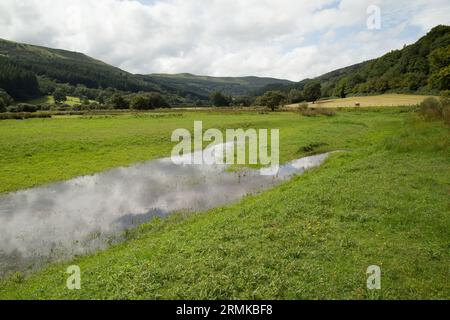 Glyn Collwn Pontsticill Reservoir Brecon Beacons Bannau Brycheiniog Wales Foto Stock