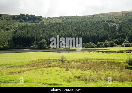 Glyn Collwn Pontsticill Reservoir Brecon Beacons Bannau Brycheiniog Wales Foto Stock