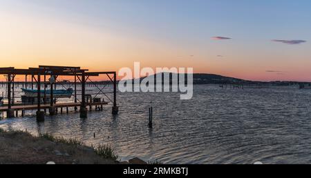 Allevamento di ostriche sull'Etang de Thau all'alba, a Loupian, in Occitanie, Francia Foto Stock