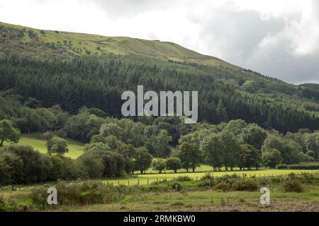 Glyn Collwn Pontsticill Reservoir Brecon Beacons Bannau Brycheiniog Wales Foto Stock