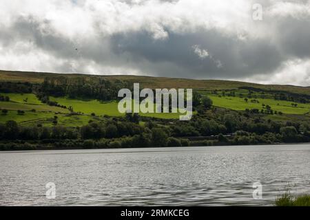 Pontsticill Reservoir Brecon Beacons, Bannau Brycheiniog Galles Foto Stock