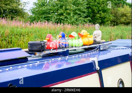 Una fila di anatre in plastica dai colori vivaci sul tetto di una barca stretta Foto Stock