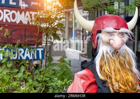 Città islandese di Akureyri, punto di partenza per il tour delle cascate di Godafoss, lago Myvatn e avvistamento delle balene. Foto Stock