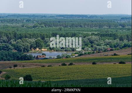 Paesaggio sul ramo di San Giorgio, il braccio meridionale del Danubio nel Delta del Danubio. Tulcea, Romania, Europa sudorientale Foto Stock