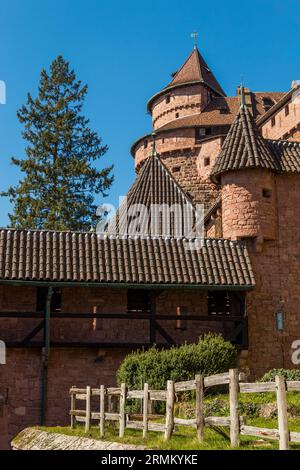 Castello di Haut-Koenigsbourg domina la pianura di Alsazia in una giornata di sole, Francia. Foto Stock