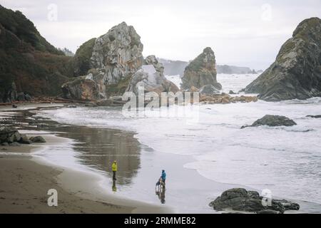 Samuel H Boardman Scenic Corridor - Brookings, Oregon Foto Stock