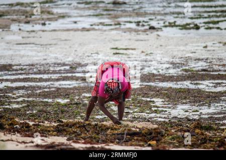 Gruppo di donne provenienti da un piccolo villaggio africano in Mozambico, sulle rive dell'oceano Indiano, che raccolgono pietre colorate e conchiglie durante la bassa marea Foto Stock