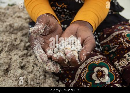 Gruppo di donne provenienti da un piccolo villaggio africano in Mozambico, sulle rive dell'oceano Indiano, che raccolgono pietre colorate e conchiglie durante la bassa marea Foto Stock