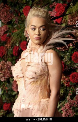 Londra, Regno Unito. 18 novembre 2018. Rita ora partecipa agli Evening Standard Theatre Awards 2018 al Theatre Royal Drury Lane di Londra, Inghilterra. (Foto di Fred Duval/SOPA Images/Sipa USA) credito: SIPA USA/Alamy Live News Foto Stock