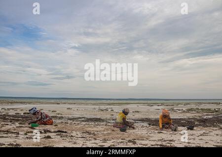 Gruppo di donne provenienti da un piccolo villaggio africano in Mozambico, sulle rive dell'oceano Indiano, che raccolgono pietre colorate e conchiglie durante la bassa marea Foto Stock