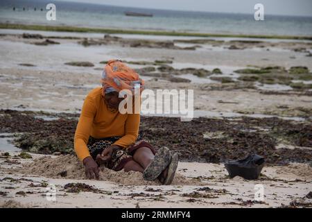 Gruppo di donne provenienti da un piccolo villaggio africano in Mozambico, sulle rive dell'oceano Indiano, che raccolgono pietre colorate e conchiglie durante la bassa marea Foto Stock