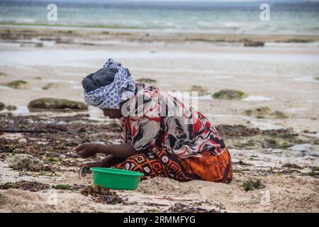 Gruppo di donne provenienti da un piccolo villaggio africano in Mozambico, sulle rive dell'oceano Indiano, che raccolgono pietre colorate e conchiglie durante la bassa marea Foto Stock