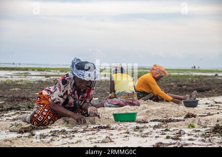 Gruppo di donne provenienti da un piccolo villaggio africano in Mozambico, sulle rive dell'oceano Indiano, che raccolgono pietre colorate e conchiglie durante la bassa marea Foto Stock