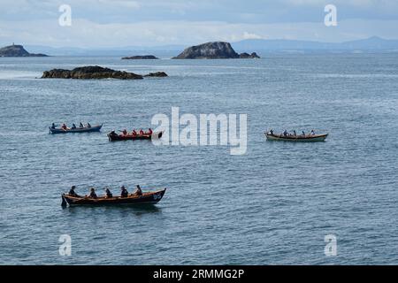 North Berwick Rowing Regatta sugli skiff STT Ayles Foto Stock