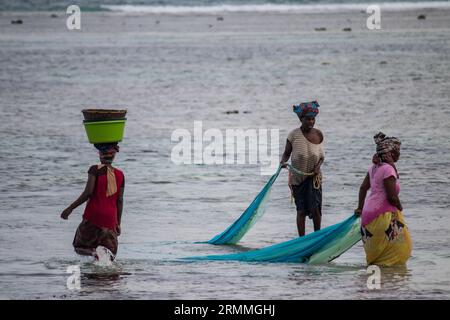 Gruppo di donne africane provenienti dal Mozambico, pesca con reti domestiche, Oceano Indiano, durante la bassa marea Foto Stock