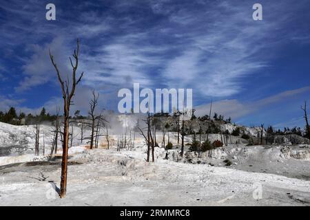 Angel Terrace nelle sorgenti termali di Mammoth nel parco nazionale di Yellowstone, Wyoming Foto Stock