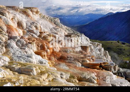 Canary Spring nelle sorgenti termali di Mammoth nel parco nazionale di Yellowstone, Wyoming Foto Stock