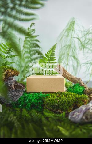 Podio beige geometrico nella foresta con felce e muschio. Vetrina vuota per la presentazione del prodotto. Sfondo naturale. Foto Stock