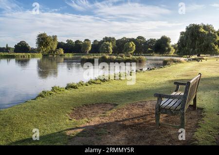 Panca in legno per sedersi e contemplare la vita Foto Stock