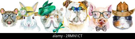 Bordo per animali domestici. Disegno ad acquerello dipinto a mano, isolare la clip art su sfondo bianco. Design banner Foto Stock