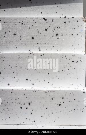 Foto astratta con trama ravvicinata del bianco compresso con blocchi di polistirolo a punti neri Foto Stock