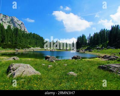 Doppio lago nella valle dei sette laghi nel parco nazionale del Triglav e nelle alpi Giulie, Slovenia con foresta sul retro e prato alpino di fronte Foto Stock