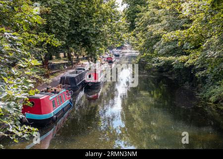 Regent's Canal, Victoria Park, Hackney, Londra, Inghilterra - 29 luglio 2023: Strette imbarcazioni ormeggiate lungo il Regent's Canal vicino a Victoria Park a Hackney, Foto Stock