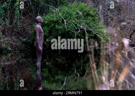 Una delle sculture "6 volte" di Sir Antony Gormley nell'acqua di Leith dietro la Galleria d'Arte moderna, Edimburgo, Scozia. REGNO UNITO. Foto Stock