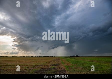 Nuvola di tempesta con forte pioggia sulle pianure Foto Stock