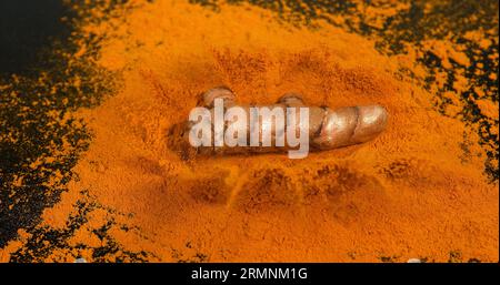 Curcuma, curcuma longa, Root Falling on Curcuma Powder, Indian Spice Foto Stock