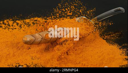 Curcuma, curcuma longa, Root Falling on Curcuma Powder, Indian Spice Foto Stock