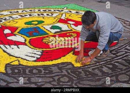 Lima, Perù. 29 agosto 2023. Artigiano che prepara un tappeto di fiori attraverso il quale la processione di devoti porta l'immagine di Santa Rosa de Lima sulle spalle nel centro di Lima come ogni 30 agosto. Santa Rosa di Lima, nata Isabel Flores de oliva, 20 aprile 1586 - 24 agosto 1617, è la patrona delle Americhe e della polizia Nazionale del Perù. Credito: Agenzia stampa Fotoholica/Alamy Live News Foto Stock