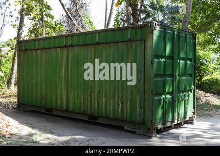 Il container verde si trova all'ombra degli alberi, moderne attrezzature industriali per il trasporto marittimo Foto Stock