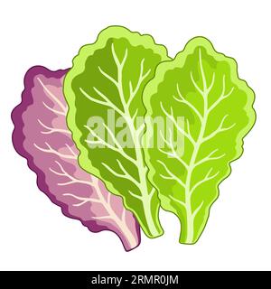 Illustrazione vettoriale delle foglie di lattuga in stile piatto Illustrazione Vettoriale