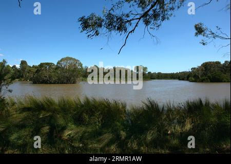 Il lago di Jells Park è stato costruito per fermare il torrente Dandenong che allagava Ferntree Gully Road - una delle principali autostrade. Ora è diventata un'attrazione popolare per i visitatori. Foto Stock