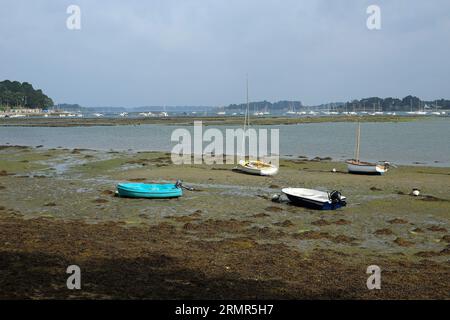 Vista su Anse du Logeo e letti di ostriche con bassa marea da le Logeo, Sarzeau, Morbihan, Bretagna, Francia Foto Stock