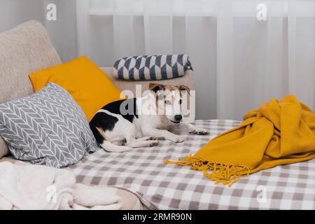 Letto grande e confortevole con molti cuscini diversi Foto stock - Alamy