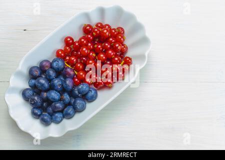 succulenti mirtilli e ribes, formando una composizione obliqua in un contenitore ovale Foto Stock