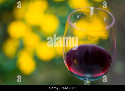 Un bicchiere di vino rosso, con lo sfondo giallo delle foglie autunnali Foto Stock