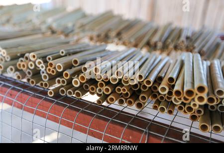 Il processo di produzione delle cannucce di bambù nell'impresa sociale: Bantayan Bamboo Innovation Workshop. Paglia in plastica alternativa sostenibile, ecocompatibile Foto Stock