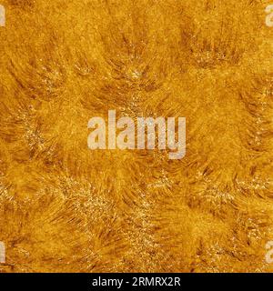 Schemi astratti di superficie solare . Immagine RAW fornita da NSO/AURA/NSF Foto Stock