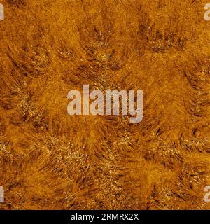 Schemi astratti di superficie solare . Immagine RAW fornita da NSO/AURA/NSF Foto Stock