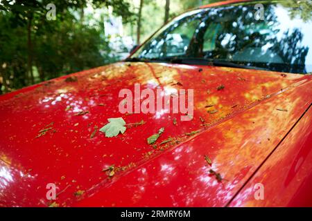 Primo piano di un'auto rossa con foglie cadute sul cofano. Auto dimenticata nella natura sotto gli alberi. Auto autunnale in un contesto di parco. Foto Stock