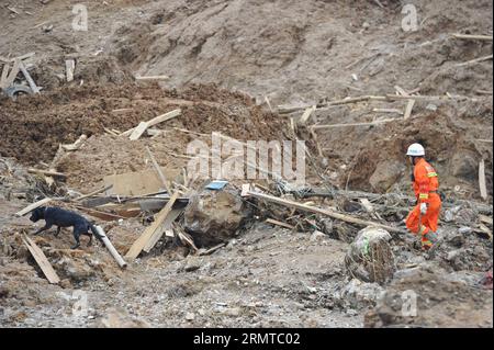 (140828) -- FUQUAN, 28 agosto 2014 -- Un soccorritore e il suo cane cercano di cercare sopravvissuti nel sito della frana nel villaggio di Yingping della città di Daoping nella città di Fuquan nella prefettura di Qiannan, nella provincia di Guizhou della Cina sud-occidentale, il 28 agosto 2014. Sette persone sono state uccise e 20 sono rimaste dispersi a partire da giovedì pomeriggio, dopo che una frana ha colpito il villaggio mercoledì sera. Un totale di 77 case crollarono o furono sepolte nella frana e la vita di 154 abitanti del villaggio ne fu colpita). (lfj) CHINA-GUIZHOU-FUQUAN-LANDSLIDE (CN) LiuxXu PUBLICATIONxNOTxINxCHN Fuquan Aug 28 2014 a Rescuer and His Dog Try Foto Stock